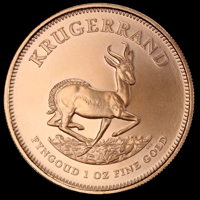 1 oz Krugerrand Gold Coin | Mixed Years